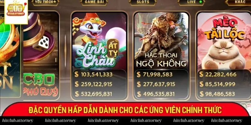 Đặc quyền hấp dẫn dành cho các ứng viên chính thức